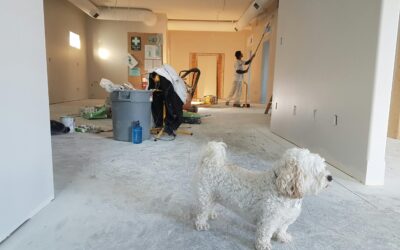 Renovate to Sell: The Best Upgrades for a Higher Home Resale Value